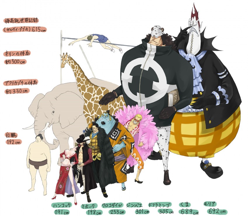 Datei Samuraigrossen Jpg Opwiki Das Wiki Fur One Piece