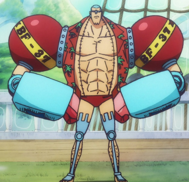 Datei:Franky Body TS.jpg