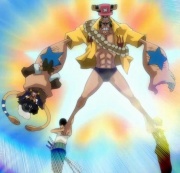 Episode 367 Opwiki Das Wiki Fur One Piece