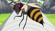 Eine Wespe
